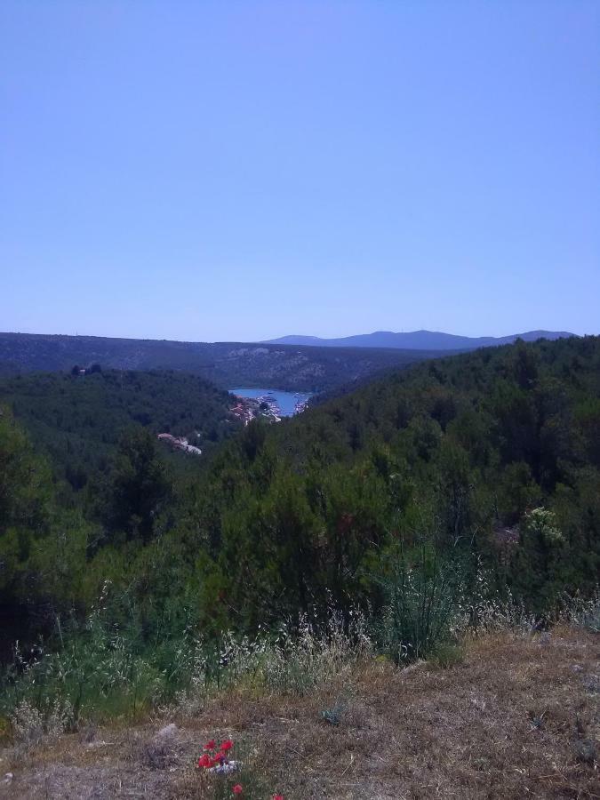 Panorama *